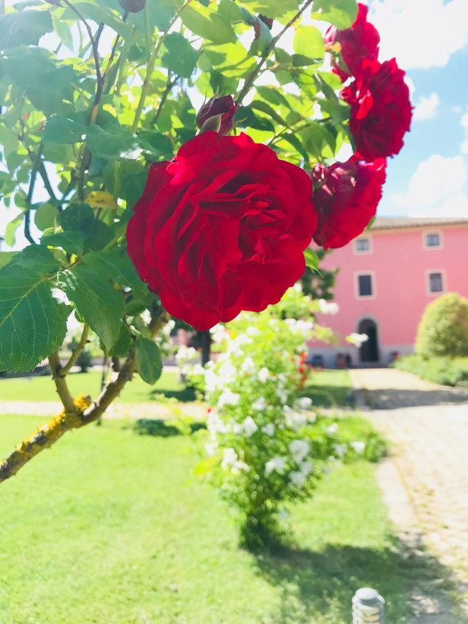 Antico Borgo De Romolini Villa Sansepolcro Dış mekan fotoğraf